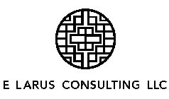 E LARUS CONSULTING LLC