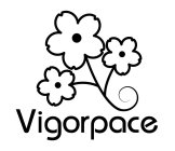 VIGORPACE