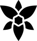 Image Trademark