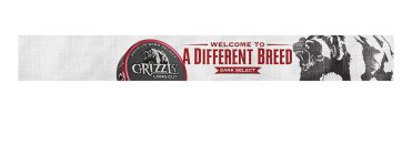 PREMIUM DARK SELECT GRIZZLY LONG CUT WELCOME TO A DIFFERENT BREED DARK SELECT
