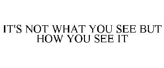 IT'S NOT WHAT YOU SEE BUT HOW YOU SEE IT