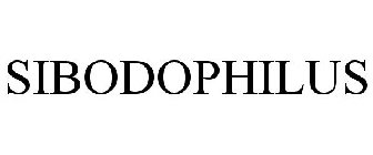SIBODOPHILUS
