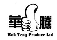 WAH TENG PRODUCE LTD.