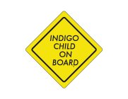 INDIGO CHILD ON BOARD