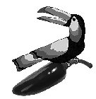 Image Trademark