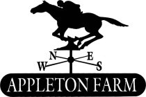 APPLETON FARM N S E W