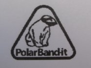 POLAR BAND-IT
