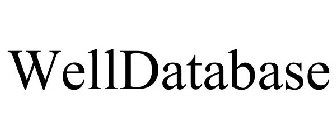 WELLDATABASE