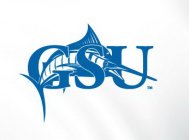 GULF STREAM UNIVERSITY