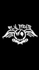 FLY PIRATE