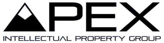 APEX INTELLECTUAL PROPERTY GROUP