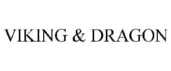 VIKING & DRAGON