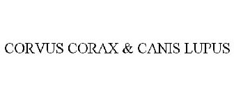 CORVUS CORAX CANUS LUPUS