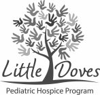 LITTLE DOVES PEDIATRIC HOSPICE PROGRAM