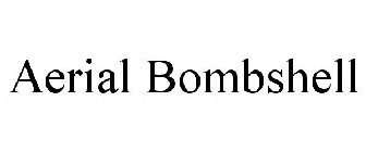 AERIAL BOMBSHELL
