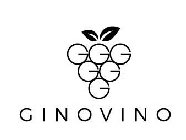 G GINOVINO