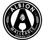 A ALBION MALLEABLE BREWING CO.