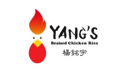 YANG'S BRAISED CHICKEN RICE