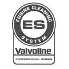 ES ENGINE CLEANING SYSTEM VALVOLINE PROFESSIONAL SERIES