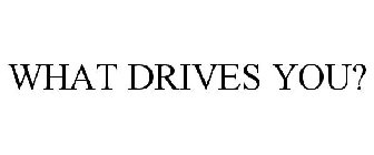 WHAT DRIVES YOU?