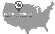 RAISED IN WYOMING WITHOUT THE USE OF ANTIBIOTICS
