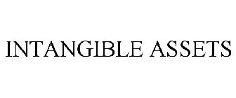 INTANGIBLE ASSETS