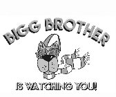 BIGG BROTHER IS WATCHING YOU!