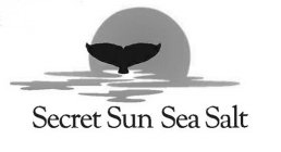 SECRET SUN SEA SALT