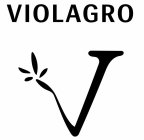 VIOLAGRO V