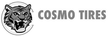 COSMO TIRES