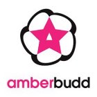 AMBER BUDD