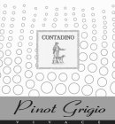 CONTADINO PINOT GRIGIO VIVACE