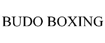 BUDO BOXING