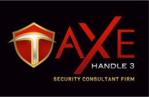 AXE HANDLE 3  SECURITY CONSULTANT FIRM