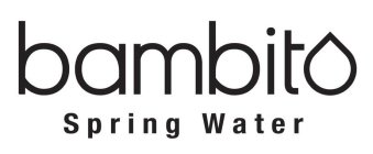 BAMBITO SPRING WATER