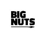 BIG NUTS