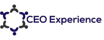 CEO EXPERIENCE