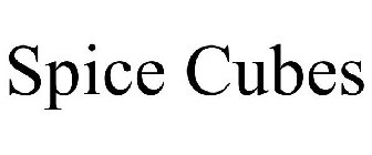 SPICE CUBES