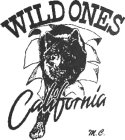 WILD ONES CALIFORNIA M.C.