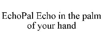 ECHOPAL ECHO IN THE PALM OF YOUR HAND