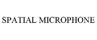 SPATIAL MICROPHONE