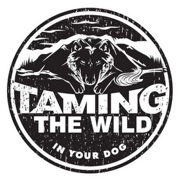 TAMING THE WILD IN YOUR DOG