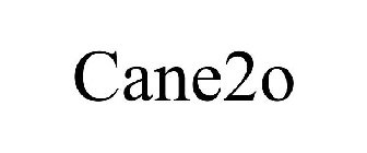 CANE2O