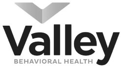 VALLEY BEHAVIORAL HEALTH