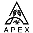 A AARC APEX