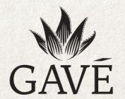 GAVÉ