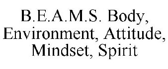B.E.A.M.S. BODY, ENVIRONMENT, ATTITUDE, MINDSET, SPIRIT