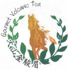 GOURMET VOLCANIC TEA