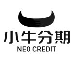 NEO CREDIT