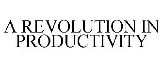 A REVOLUTION IN PRODUCTIVITY